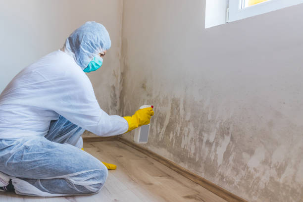 Hvac And Air Duct Mold Remediation inspection of HVAC system in Manchester